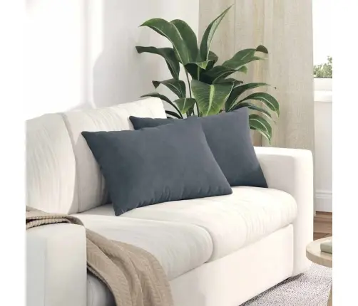 Sofa Pagalvės 2 Pcs Tamsiai Pilka 60 X 40 Cm Kordūrinis Audinys
