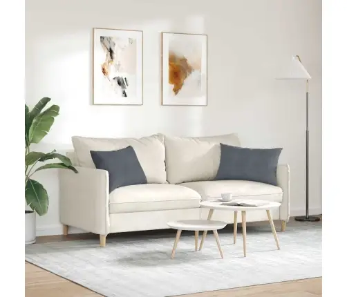 Sofa Pagalvės 2 Pcs Tamsiai Pilka 60 X 40 Cm Kordūrinis Audinys