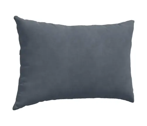 Sofa Pagalvės 2 Pcs Tamsiai Pilka 60 X 40 Cm Kordūrinis Audinys