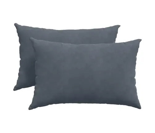 Sofa Pagalvės 2 Pcs Tamsiai Pilka 60 X 40 Cm Kordūrinis Audinys