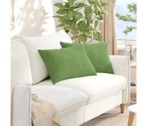 Sofa Pagalvės 2 Pcs Šviesiai Žalia 60 X 40 Cm