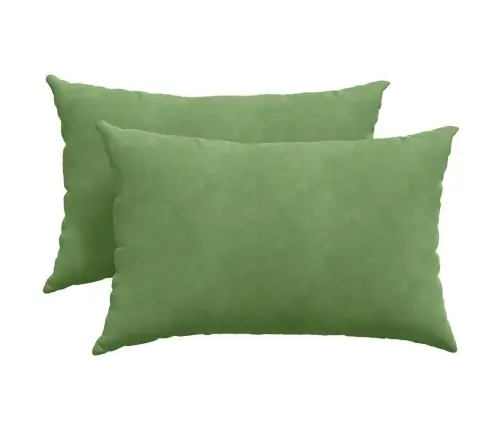 Sofa Pagalvės 2 Pcs Šviesiai Žalia 60 X 40 Cm