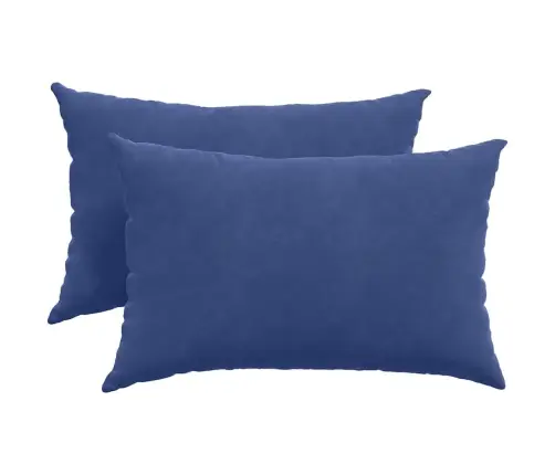 Sofa Pagalvės 2 Pcs Policijos Mėlyna 60 X 40 Cm