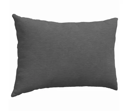 Diivanipadjad 2 Pcs Tumehall 60 X 40 Cm Korter Kangas