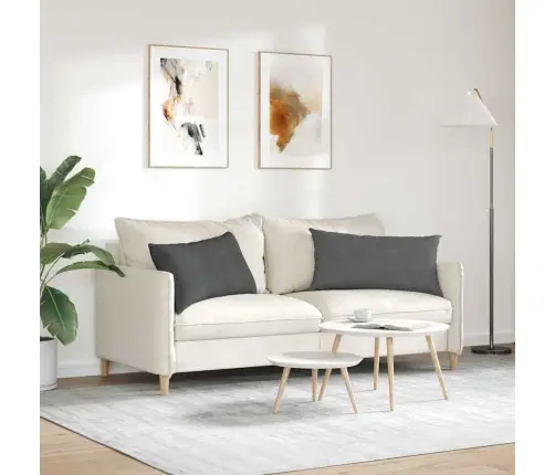 Dīvāna Spilveni 2 Pcs Tumši Pelēks 80 X 40 Cm Korduroja Audums Vidaxl