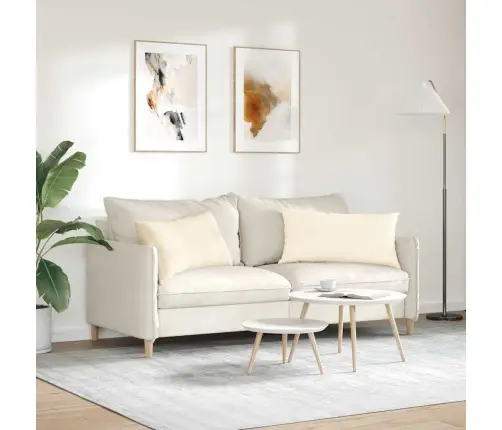 Diivanipadjad 2 Pcs Cream 80 X 40 Cm Korter Kangas