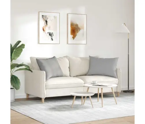 Diivanipadjad 2 Pcs Pilvine Hall 70 X 50 Cm Kangas