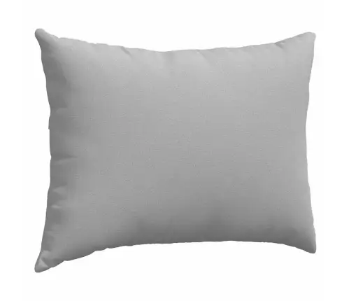 Diivanipadjad 2 Pcs Pilvine Hall 70 X 50 Cm Kangas