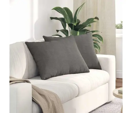 Sofa Pagalvės 2 Pcs Šviesiai Pilka 70 X 50 Cm