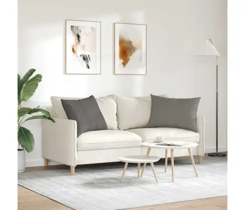 Sofa Pagalvės 2 Pcs Šviesiai Pilka 70 X 50 Cm