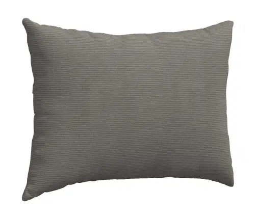 Sofa Pagalvės 2 Pcs Šviesiai Pilka 70 X 50 Cm