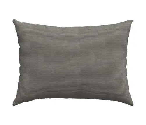 Sofa Pagalvės 2 Pcs Šviesiai Pilka 70 X 50 Cm