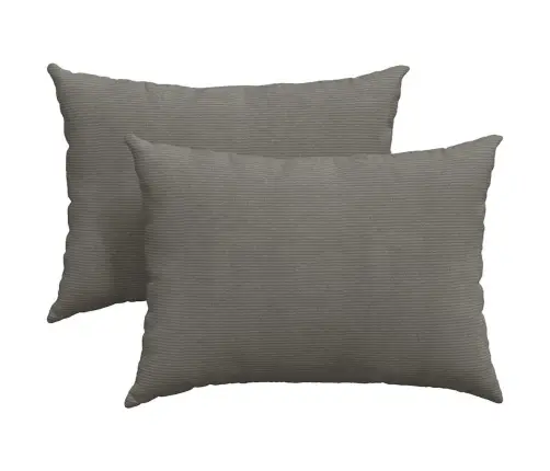 Sofa Pagalvės 2 Pcs Šviesiai Pilka 70 X 50 Cm