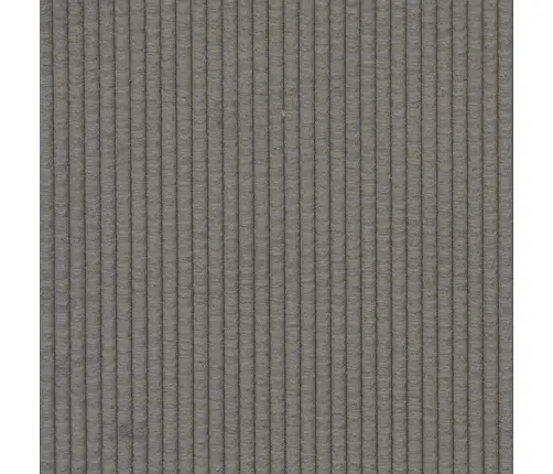 Sofa Pagalvės 2 Pcs Šviesiai Pilka 70 X 50 Cm