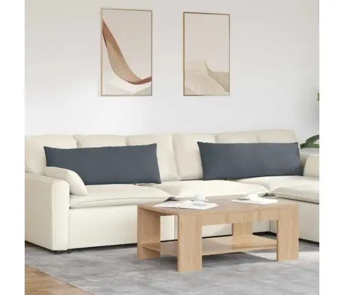 Diivanipadjad 2 Pcs Tumehall 120 X 40 Cm Korter Kangas