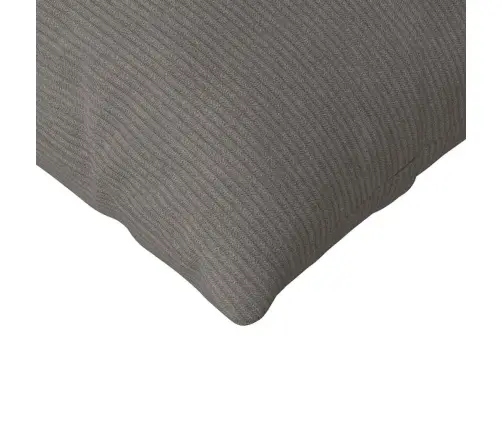 Diivanipadjad 2 Pcs Helehall 120 X 40 Cm Korter Kangas