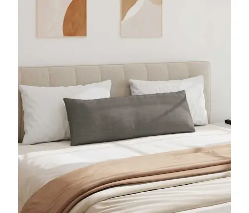 Diivanipadjad 2 Pcs Helehall 120 X 40 Cm Korter Kangas