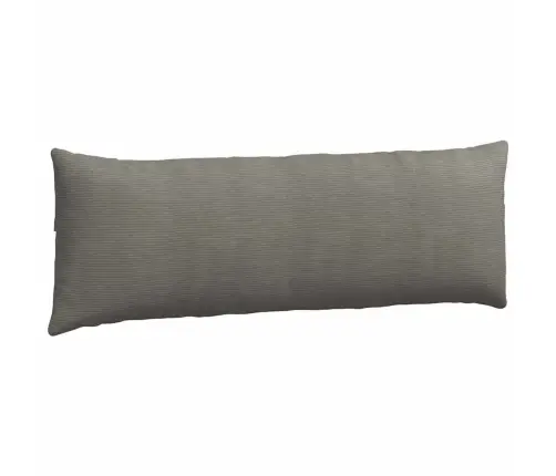 Diivanipadjad 2 Pcs Helehall 120 X 40 Cm Korter Kangas