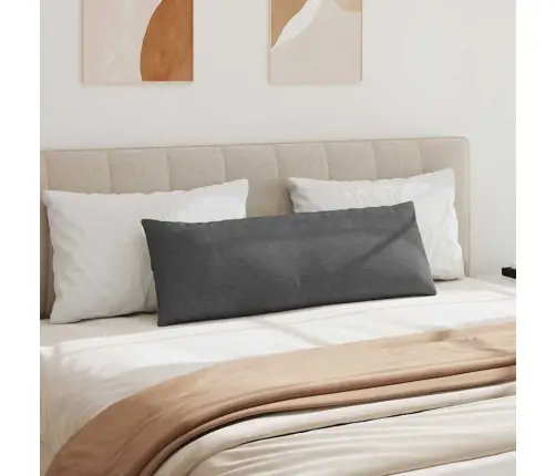 Dīvāna Spilveni 2 Pcs Tumši Pelēks 120 X 40 Cm Korduroja Audums Vidaxl