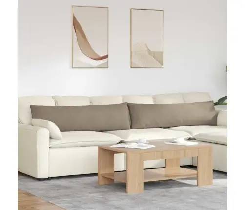 Sofa Pagalvės 2 Pcs Taupe 145 X 40 Cm Audinys