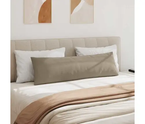 Sofa Pagalvės 2 Pcs Taupe 145 X 40 Cm Audinys