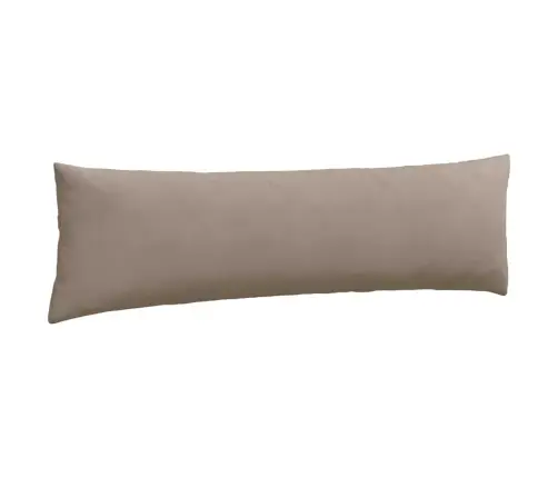 Sofa Pagalvės 2 Pcs Taupe 145 X 40 Cm Audinys