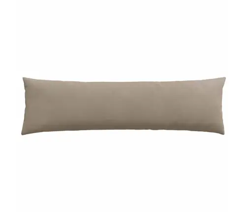 Sofa Pagalvės 2 Pcs Taupe 145 X 40 Cm Audinys