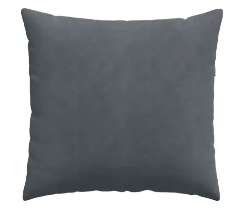 Dīvāna Spilveni 2 Pcs Tumši Pelēks 45 X 45 Cm Korduroja Audums Vidaxl