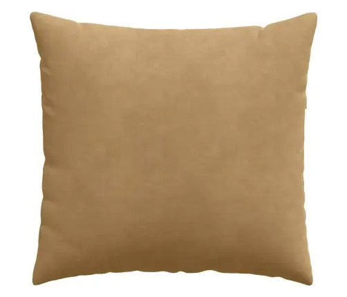 Dīvāna Spilveni 2 Pcs Brūna 50 X 50 Cm Korduroja Audums Vidaxl