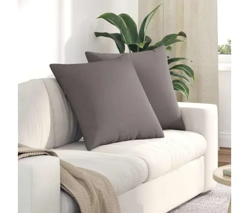 Diivanipadjad 2 Pcs Pruunikashall 60 X 60 Cm Kangas