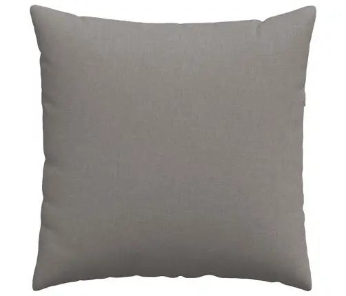 Diivanipadjad 2 Pcs Pruunikashall 60 X 60 Cm Kangas