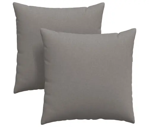 Diivanipadjad 2 Pcs Pruunikashall 60 X 60 Cm Kangas