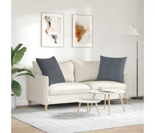 Dīvāna Spilveni 2 Pcs Tumši Pelēks 60 X 60 Cm Korduroja Audums Vidaxl