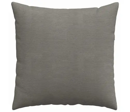 Diivanipadjad 2 Pcs Helehall 60 X 60 Cm Korter Kangas