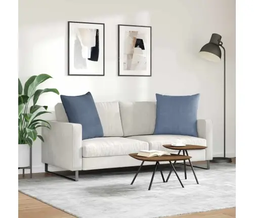 Diivanipadjad 2 Pcs Sinine 60 X 60 Cm Korter Kangas