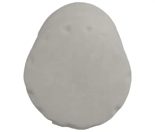 Spilveni 2 Pcs Gaiši Pelēks Ø 15 X 40 Cm Mikrofibra Vidaxl