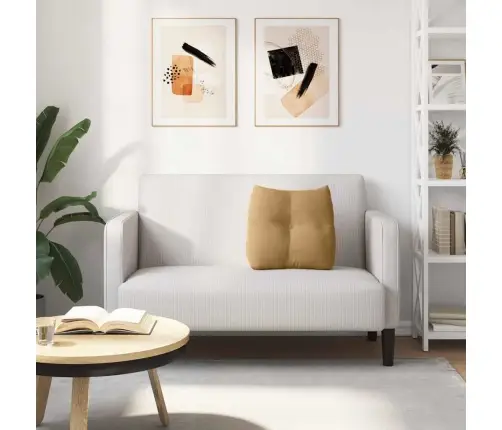 Atpakaļ Spilvens Brūna 45 X 24 X 50 Cm Samts Vidaxl