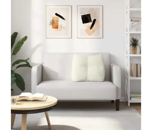 Apsaugos Pagalvė Kreminė 60 X 24 X 50 Cm Aksomas