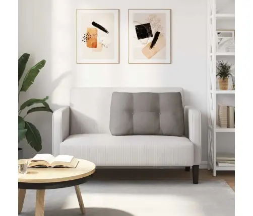 Atpakaļ Spilvens Pelēkbrūna 80 X 24 X 50 Cm Audums Vidaxl