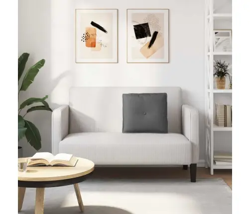 Apsaugos Pagalvė Tamsiai Pilka 50 X 19 X 45 Cm Audinys