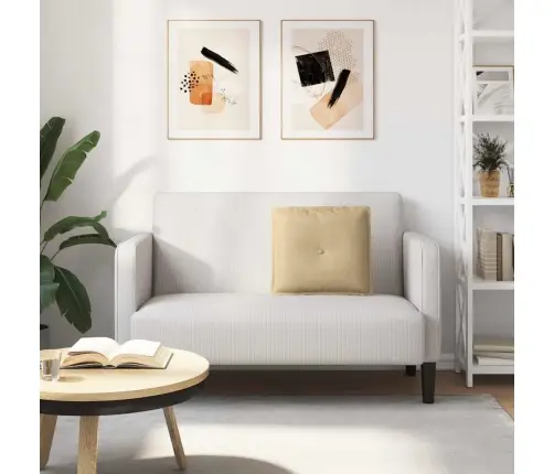 Apsaugos Pagalvė Pilkai Žalia 50 X 45 Cm Kordūrinis Audinys