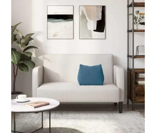 Atpakaļ Spilvens Zila 45 X 20 X 35 Cm Korduroja Audums Vidaxl