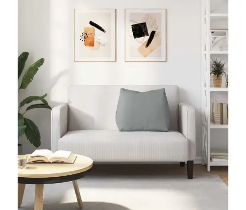 Apsaugos Pagalvė Šviesiai Pilka 60 X 20 X 50 Cm Audinys