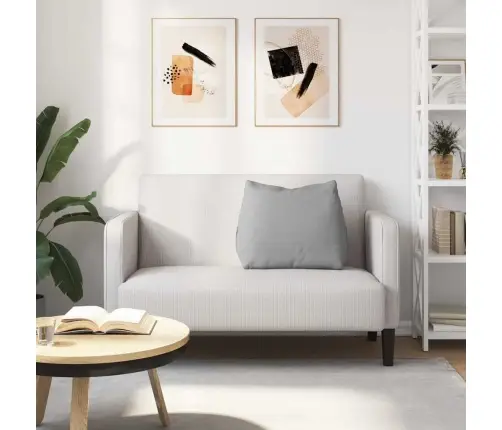 Seljatugi Padi Pilvine Hall 60 X 20 X 50 Cm Kangas