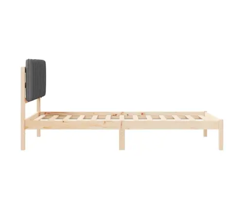 Lovo Rėmas Su Apmuštu Galvūgaliu Tamsiai Pilka 100 X 200 Cm