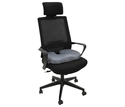 Padi Padjaga Hall 46 X 38 X 8 Cm Võrk