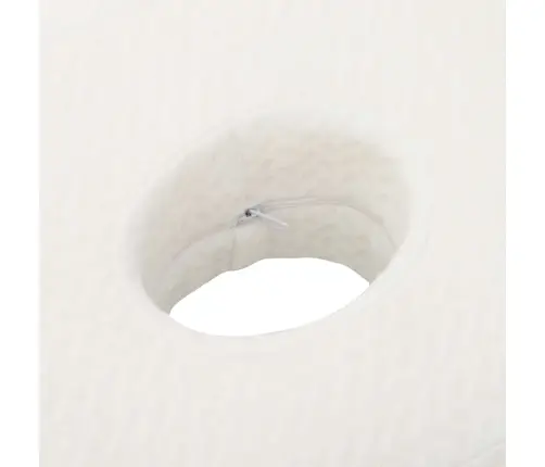 Spilvens Ar Spilvenu Balts 55 X 36 X 10 Cm Poliesters Vidaxl