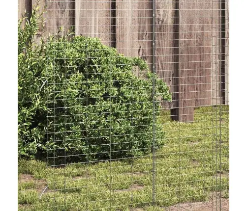 Kanakpuur 2 Pcs Hõbedane 600 X 100 X 210 Cm Tsinkteras