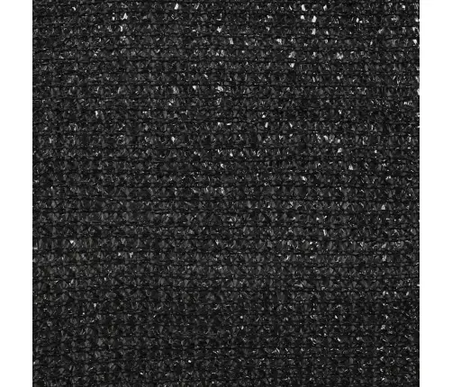 Kanakpuur 2 Pcs Hõbedane 600 X 100 X 210 Cm Tsinkteras