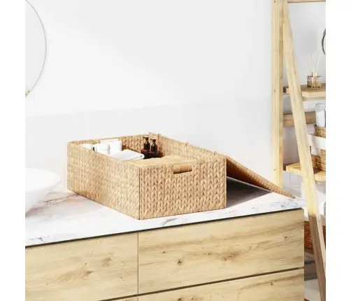 Saugojimo Dėžė Natūrali 60 X 38 X 20 Cm Vandens Hiacintas